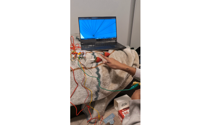 Here's my activity 2 formstorming that I worked on with Mikaela and Tanzeel. We experimented with fruits, jewelry, random objects that were conductive and made some non conductive objects conductive using copper tape or water.